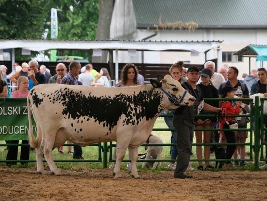 34. Wystawa Zwierząt Hodowlanych, Maszyn i Urządzeń Rolniczych w Sitnie 2022