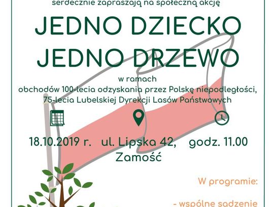 40 nowych drzew w Zamościu