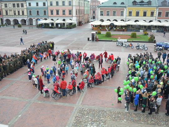 Akcja "I love green” w Zamościu 