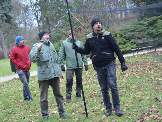 Akcja Karmnik organizowana przez Zamojskie Towarzystwo Przyrodnicze