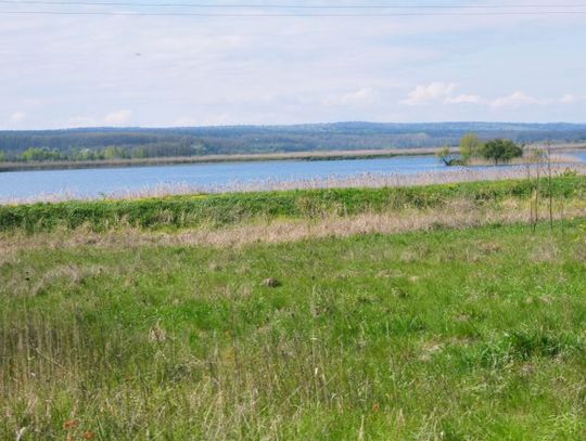 Bezpłatna wędrówka z przewodnikami