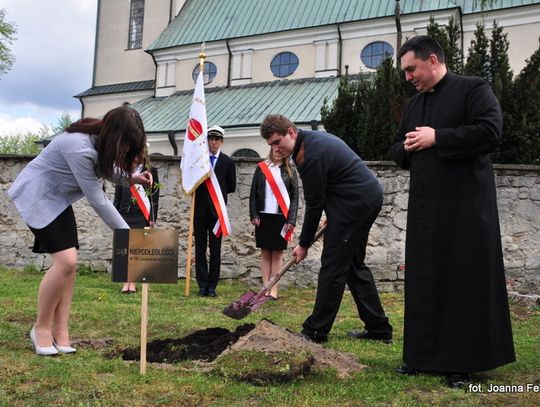 Biłgoraj. Sadzenie „Dębów Niepodległości”