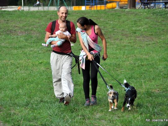 Biłgoraj. Zawody dogtrekking