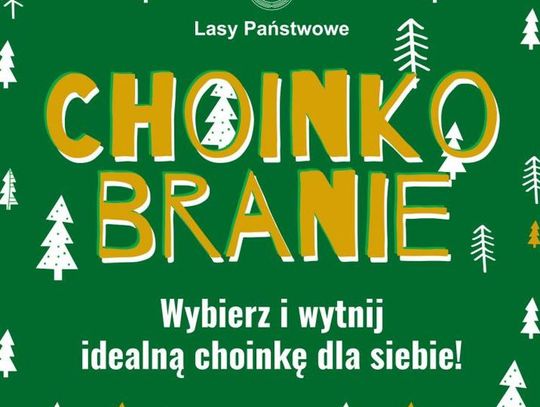 Choinkobranie w Tomaszowie Lubelskim 