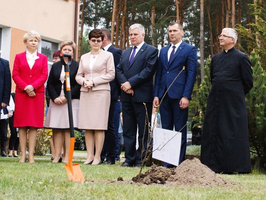 Dąb Niepodległości w Krasnobrodzie