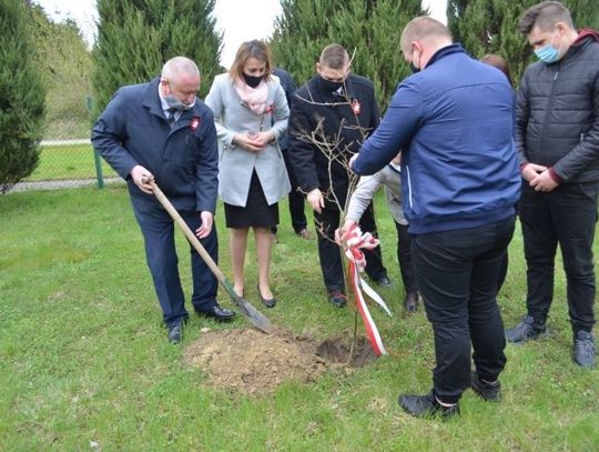 ,,Dąb Śląski’’  w Hrubieszowie