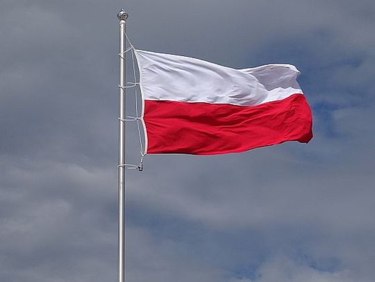 Dęby na stulecie niepodległości w Dubience