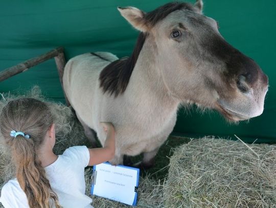 Dwa wydarzenia edukacyjno-przyrodnicze przygotowane przez Roztoczański Park Narodowy