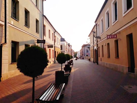  Działania  interwencyjne zamojskiej Straży Miejskiej