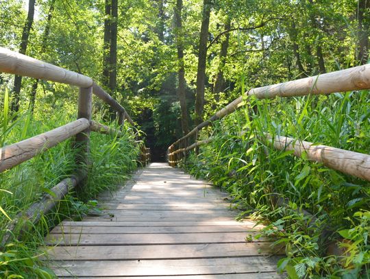 Działania ochronne na obszarze Natura 2000 