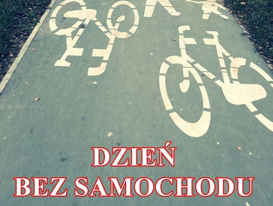 Dzień bez samochodu. Zachęcamy, by przesiąść się na rower