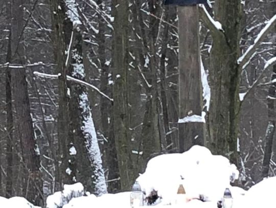 Dziś mija kolejna rocznica wybuchu Powstania Styczniowego