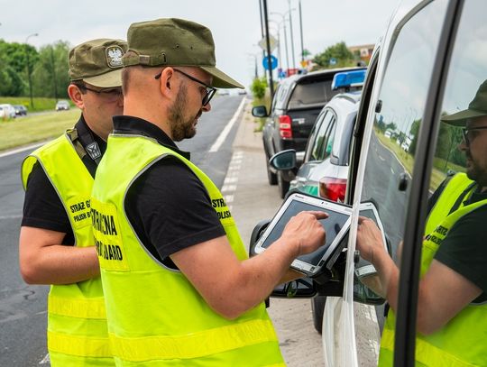 Funkcjonariusze NOSG prowadzili kontrole legalności zatrudnienia