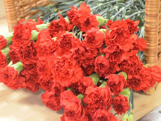 Gminny Dzień Kobiet w Tarnawatce