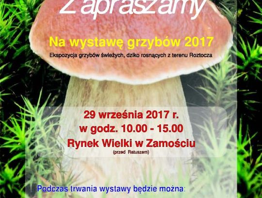 Grzyby Roztocza