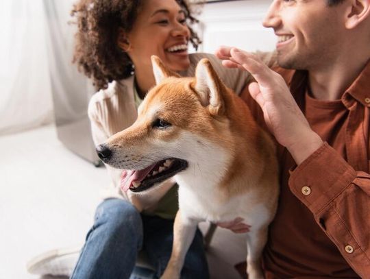 Hotel dla psów Lublin – jak wybrać najlepsze miejsce dla swojego pupila