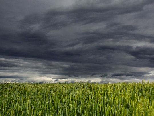 Inwestycje odtwarzające potencjał produkcji rolnej – nabór PRAWIE do końca roku