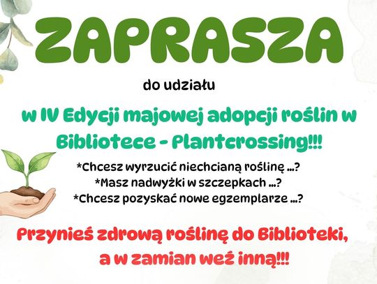 IV edycja majowej adopcji roślin w bibliotece – Planterossing