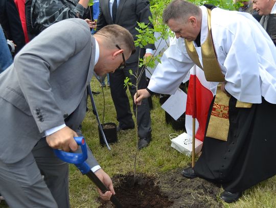 Już rosną