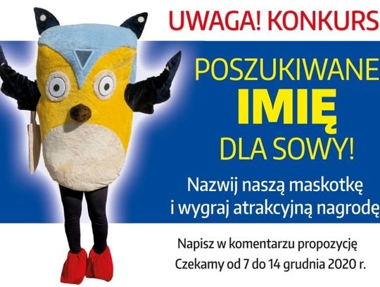 Konkurs na imię dla SOWY, bibliotecznej maskotki