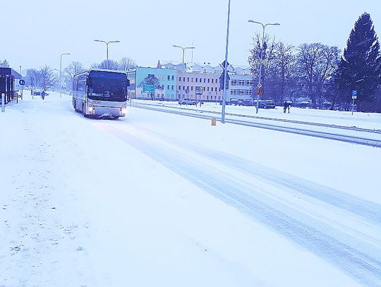 Kontrole autokarów w czasie ferii