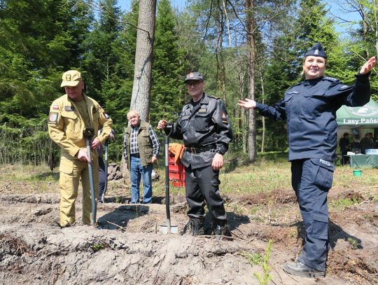 „Łączą nas Drzewa” w Kolbuszowej