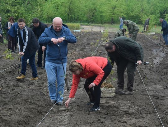 Las Jana Pawła II już rośnie w Nadleśnictwie Oleszyce