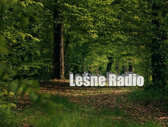 Leśne Radio