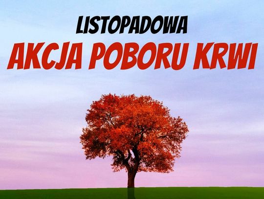 Listopadowa Akcja Poboru Krwi