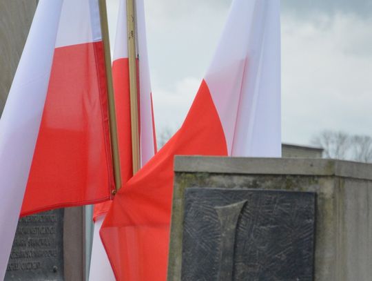 Lubaczów. Narodowe Święto Niepodległości