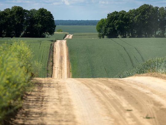 Grzęda Sokalska