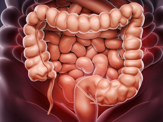 Marzec miesiącem świadomości raka jelita grubego