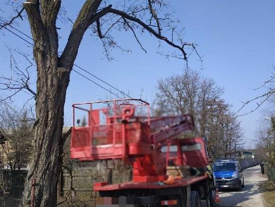 Mężczyzna uderzony spadającą gałęzią 