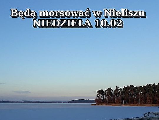 Morsy pojadą do Nielisza