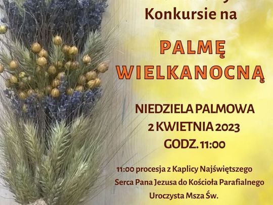 Najpiękniejsze palmy w Bełżcu