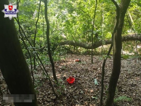  Nieszczęśliwy wypadek podczas wycinki drzewa