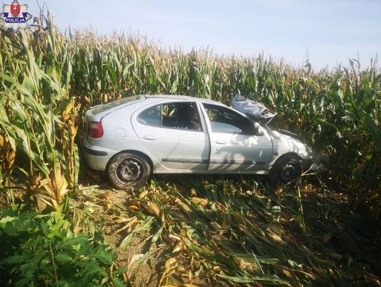 Nietrzeźwy kierowca wjechał w pole kukurydzy