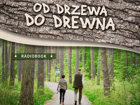 Od drzewa do drewna. Radiobook z myślą o niewidomych