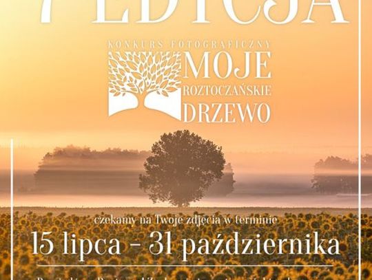 Ostatni moment, by uchwycić swoje „Roztoczańskie drzewo”