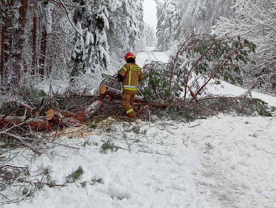 Pierwsze opady śniegu