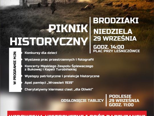 Piknik historyczny w Brodziakach