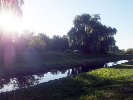 Piknik Rodzinny w Zamościu