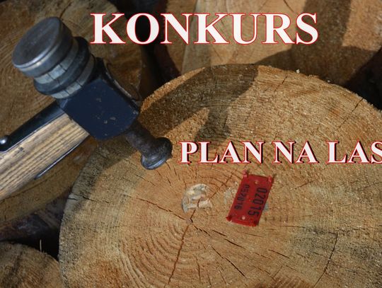 Plan na las. Rozstrzygnięcie konkursu 