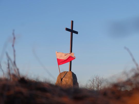 Przygotowania w powiecie tomaszowskim do Niepodległości