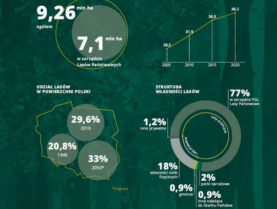 Raport „Społeczna Odpowiedzialność Lasów Państwowych” jest już dostępny