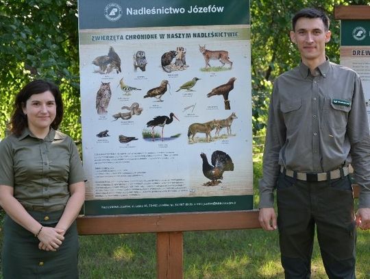 Rowerem po lasach Nadleśnictwa Józefów