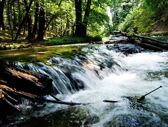 Roztocze od roku w Biosferze UNESCO