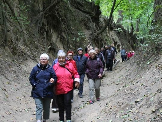 Seniorzy w ramach projektu „Aktywny senior, zdrowy senior” odwiedzili Sandomierz 