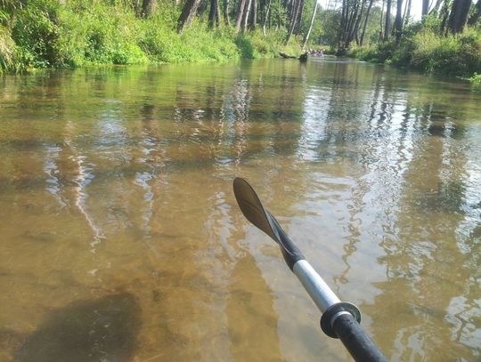 Sprzątanie rzeki