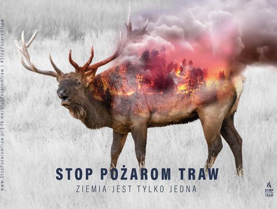 Stop pożarom traw